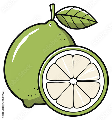 Fresh green lime fruit with a sliced half showing segments and a single leaf on a white background