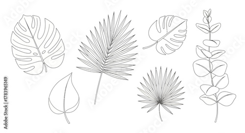 Elegant line art of tropical foliage, perfect for a modern botanical design or minimalist nature-inspired illustration, creating a calming and fresh aesthetic