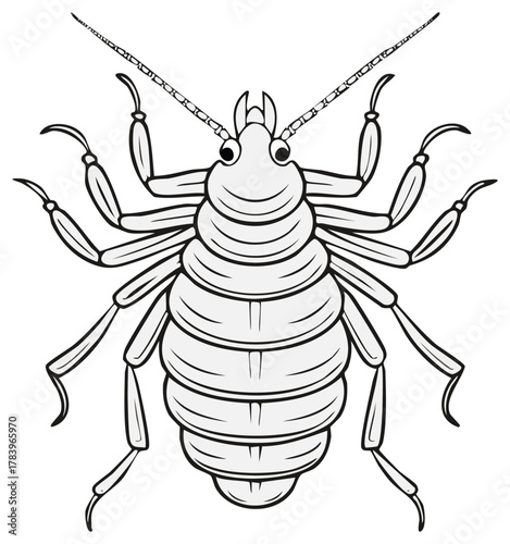Detailed line art illustration of a louse parasite insect