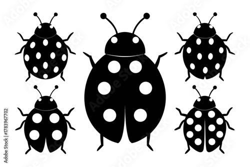 ladybug set silhouette vector,  set of coccinellidae black symbol
