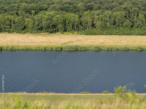 Wide calm river flanked by golden fields and dense green forest under blue sky, serene landscape.