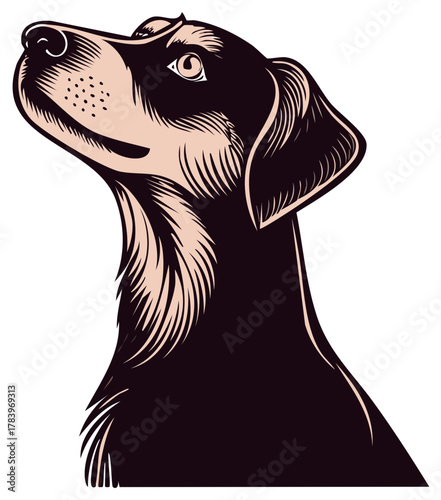 Stylized graphic illustration of a dark coated dog's head looking upwards with an alert and hopeful expression