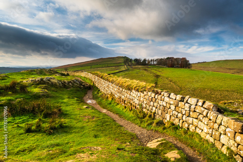 Canvas-taulu Hadrians Wall in Northumberland