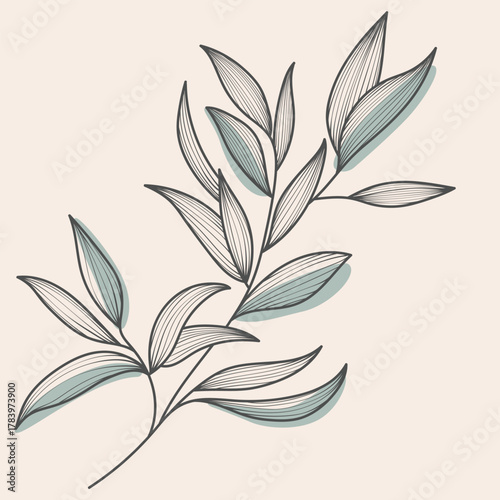 Delicate Line Vector Art Botanical Branch