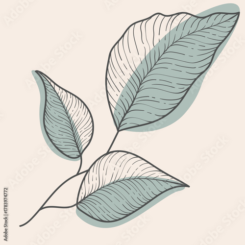 Elegant Line Vector Art Foliage Branch
