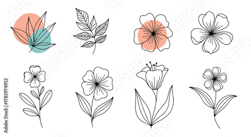 Versatile collection presents eight hand-drawn outline flowers and leaves, some enhanced with soft abstract colored circles for a modern botanical look.