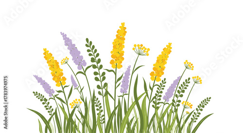 Vibrant illustration displays a picturesque field of tall wildflowers, bursting with colorful yellow and purple blooms amidst lush green grass.