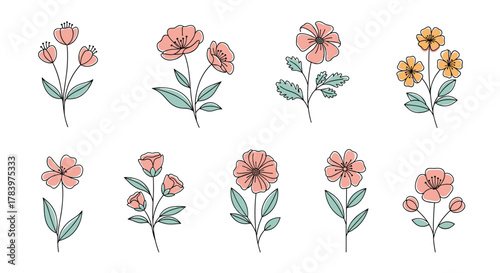 Extensive collection of various stylized flower illustrations, each combining delicate line art outlines with soft pink and yellow color accents, ideal for natural designs.