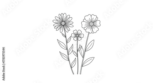 Elegant line art drawing showcases a small bouquet of charming flowers and slender leafy stems, rendered with intricate details, ideal for minimalist floral designs.
