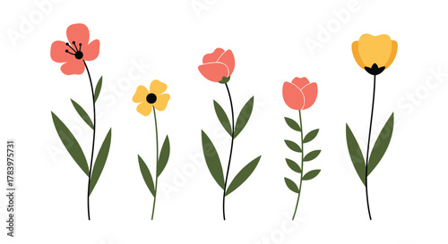 Minimalist collection of five simple, elegant flowers in red, yellow, and orange hues, with long green stems and leaves, standing tall against a white background.
