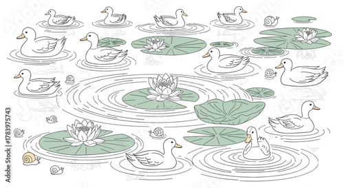 Detailed outline illustration featuring numerous ducks and snails peacefully floating on water amidst lily pads, creating gentle ripples, in a serene pond scene.