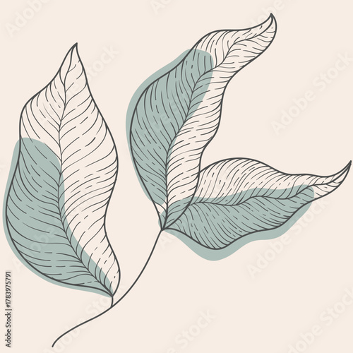 Delicate Hand Drawn Botanical Leaves Vector Illustration