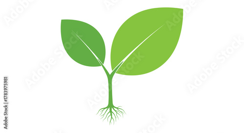 A young plant seedling with two vibrant green leaves and a visible root system emerging from the soil, symbolizing growth, nature, and new beginnings.