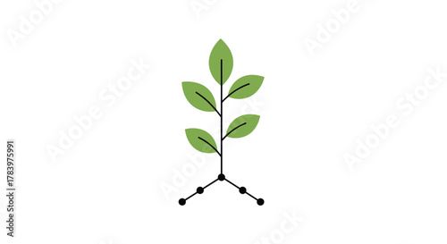 A small plant seedling with three green leaves and a subtle root system represented by dots, symbolizing growth, nature, and the beginning of life.
