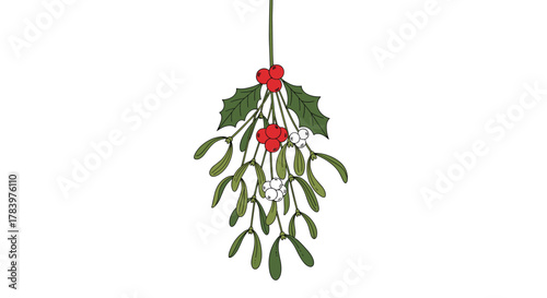 A festive sprig of mistletoe with green leaves, red berries, and white berries, symbolizing Christmas, holiday cheer, and traditional winter decorations.