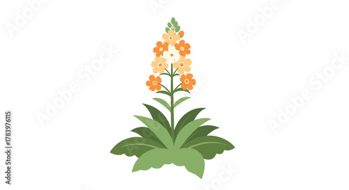 A tall, vibrant plant with clusters of orange and yellow flowers atop lush green leaves, presented in a stylized illustration, symbolizing nature's beauty and growth.