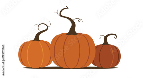 A trio of pumpkins in warm autumnal shades with elaborately curled stems, presented on a white background, perfect for fall and harvest themes.