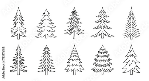 A collection of ten different styles of evergreen trees in a line drawing format, suitable for seasonal and nature themes.