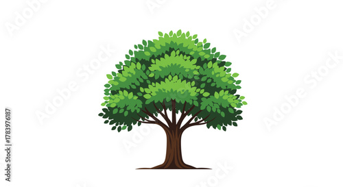 A lush green deciduous tree with a sturdy brown trunk and a full canopy of leaves, representing nature and growth.
