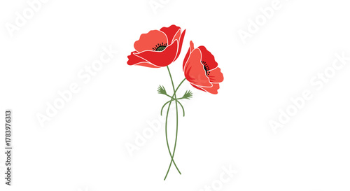 Two delicate red poppies with green stems tied together, creating an elegant floral arrangement for nature and romantic themes.
