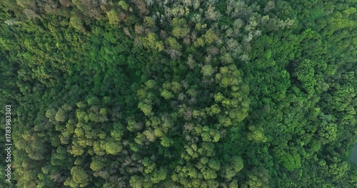 Aerial footage of beautiful tropical forest mountain landscape in summer
