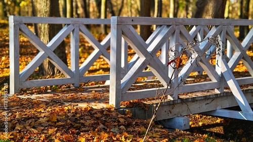 Tableau sur toile bridge in autumn