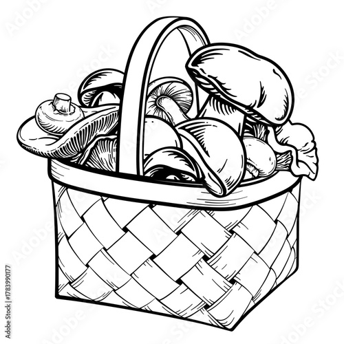 A basket full of mushrooms. Vector illustration.