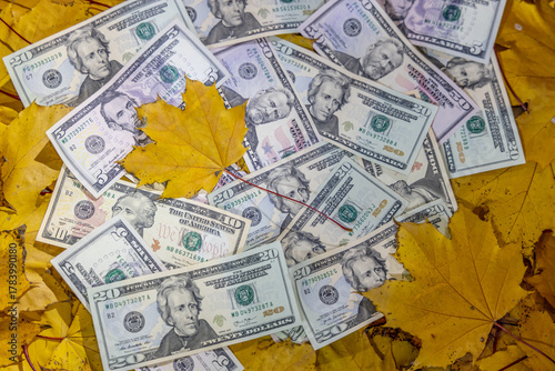 US dollar banknotes scattered on autumn leaves featuring fall colors, texture and currency details representing finance, economy, seasonal concept, banking, investment and American monetary system inf