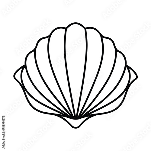 seashell vector illustration