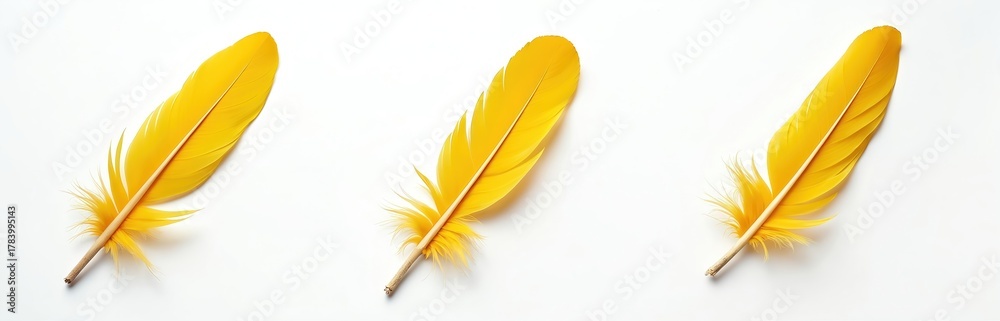 Fototapeta premium Illustration presents three bright yellow feathers. They are placed against a white background. This photo is suitable for design projects beauty concepts or art.