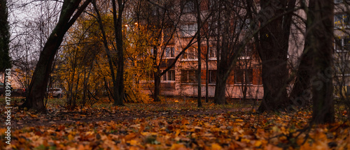 Autumn city park covered with colorful fallen leaves and trees, located beside residential apartment buildings in soft evening light.