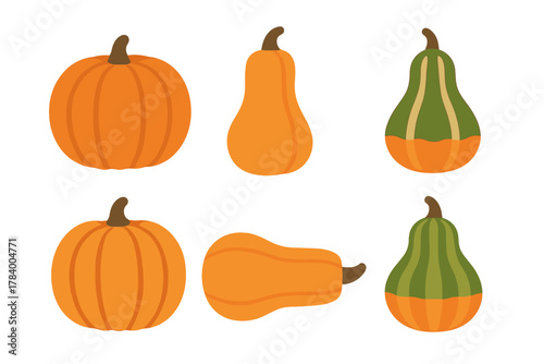 Assortment of orange and green autumn squash and pumpkin shapes