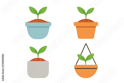 Four potted seedlings displayed with distinct container styles