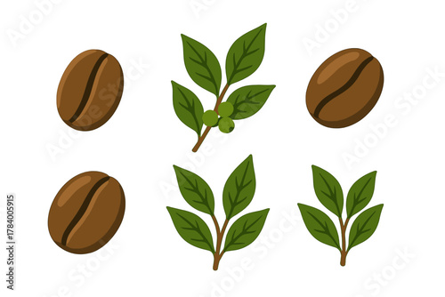 Coffee beans and green plant leaves with berries icons