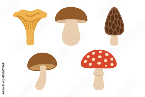 Five distinct edible and poisonous wild mushroom icons for nature themes