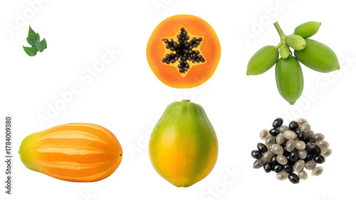 Vector illustration of papaya fruit, leaves, and seeds on a white background