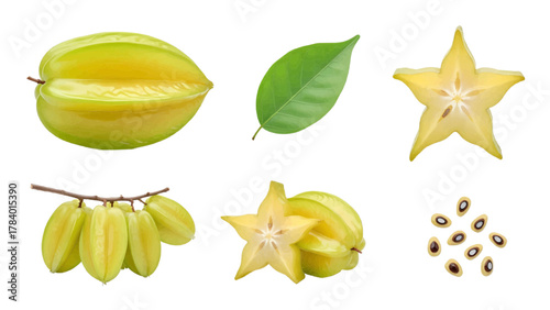 Vector illustration of star fruit and its parts on a white background