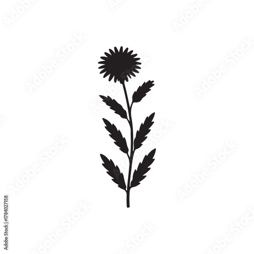A simple black floral graphic of a dandelion elegant silhouette
