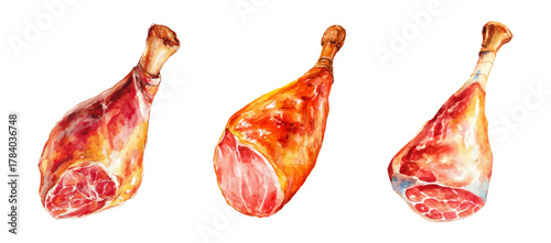 Watercolor set of ham legs. Whole pork shank with bone. Dried meat for ham and prosciutto. Ham leg with ham. Realistic meat ham. hand drawn illustration.