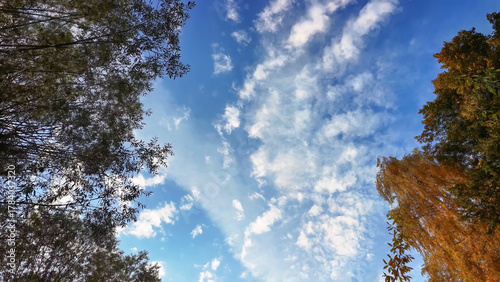 A clear autumn day displays a bright sky and soft moving clouds. Great for seasonal intros or visual mood pieces.