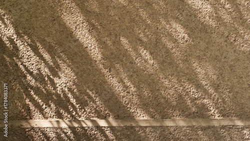 A natural, textured, beige stone or concrete wall background with harsh diagonal shadows and a subtle crack detail, perfect for graphic design overlays or architectural backdrops.