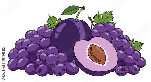 Illustration of fresh plums and grapes arrangement isolated on white background