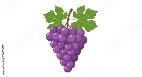 Illustration of Fresh Purple Grapes with Green Leaves on White Background