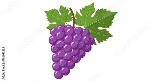 Isolated cartoon depiction of purple grapes with leaves, delicious fruit