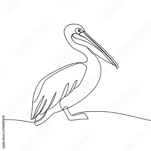 Line art of a pelican standing gracefully on a surface  