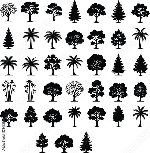 Tree silhouette icon set, botanical diversity, deciduous and coniferous shapes, palm outlines, black and white grid, vector foliage illustration