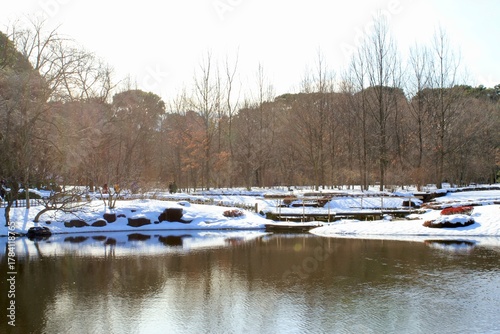 Quiet Winter Park with Snow and Pond
雪の池と冬の公園