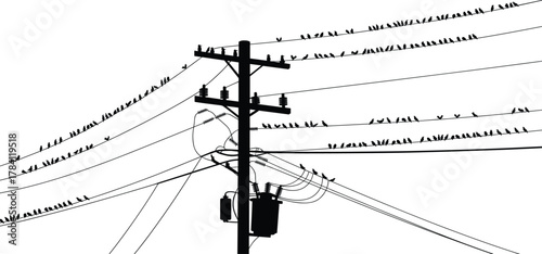 Birds perched on power lines, silhouette utility pole, urban wildlife scene, electrical infrastructure, black and white contrast, minimalist composition, transformer cables, insulators visible