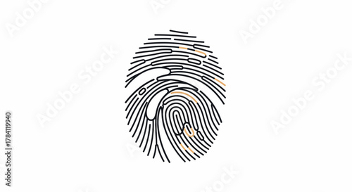 Detailed illustration of a fingerprint with ridges and whorls, isolated on a white background, showing unique pattern.