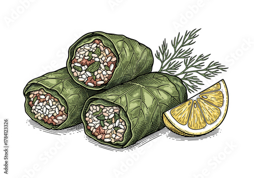 Vintage dolma engraving for a Greek or Turkish restaurant menu and food branding design